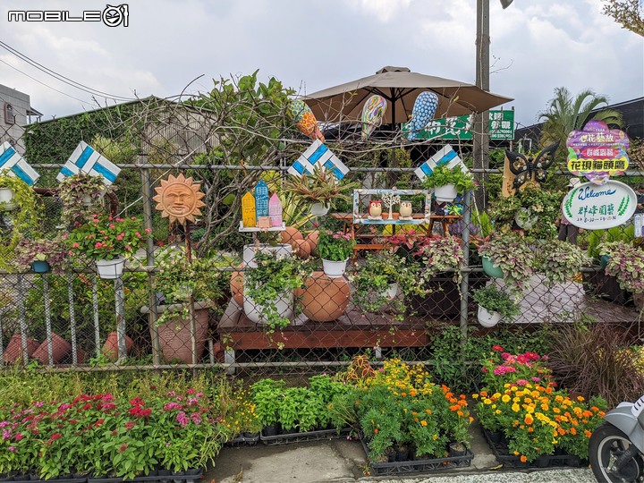 心花藝放 台南市歸仁七甲花卉園區 08/01