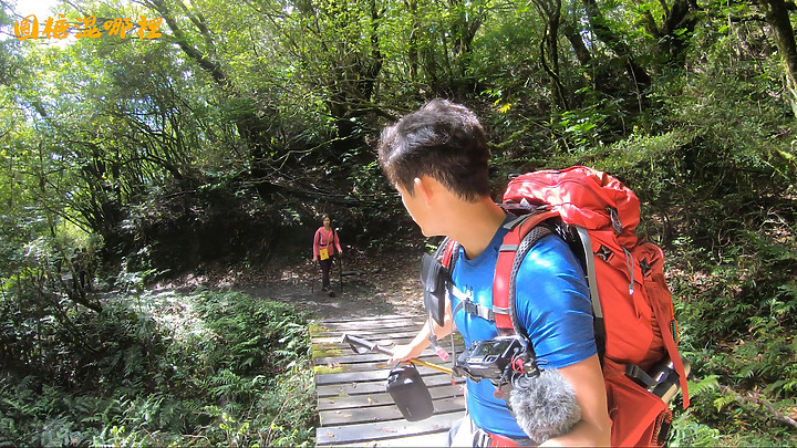 【奇萊南華】百岳入門|美女新手初體驗|挑戰高山比基尼|畢生難忘的金色奇萊|圓糖混哪裡全新登山冒險節目!