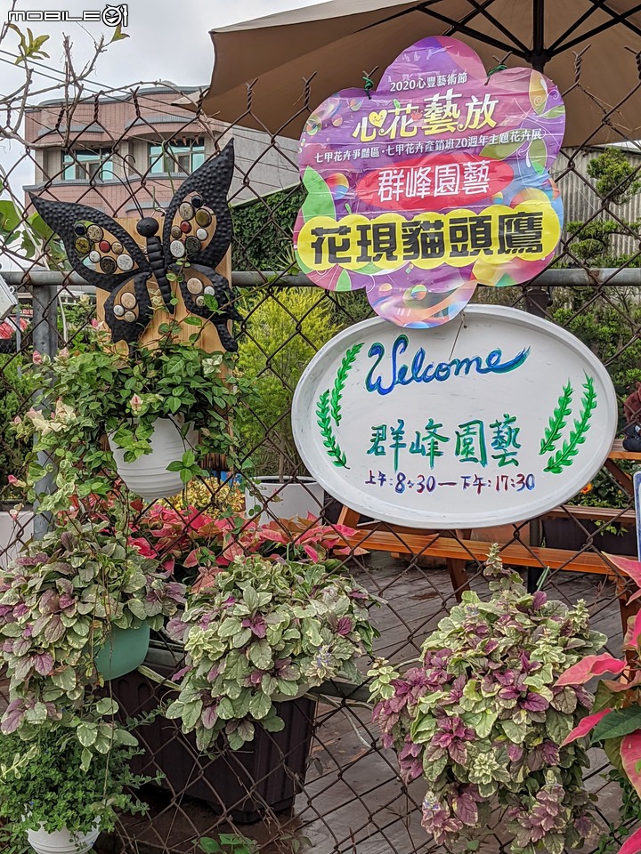 心花藝放 台南市歸仁七甲花卉園區 08/01