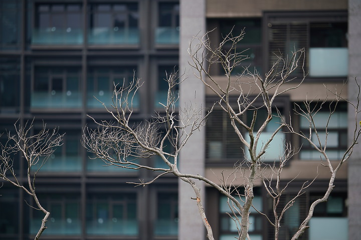 Sigma 100-400mm F5-6.3 DG DN OS 評測報告| FE-Mount 也有平價超望遠變焦鏡!