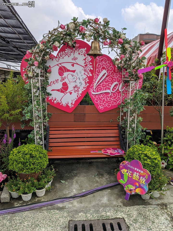 心花藝放 台南市歸仁七甲花卉園區 08/01