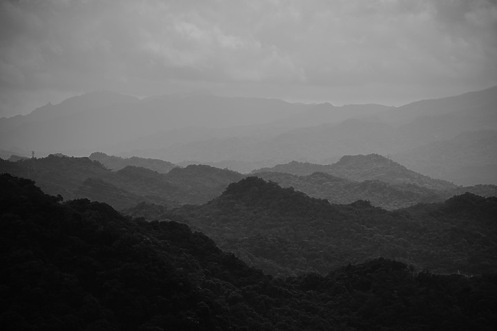 Sigma 100-400mm F5-6.3 DG DN OS 評測報告| FE-Mount 也有平價超望遠變焦鏡!