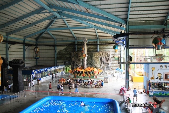 頑皮世界野生動物園。尋找隱身在草地裡的孔雀寶寶,還能近距離餵食水豚、迷你馬、羊駝......等小動物