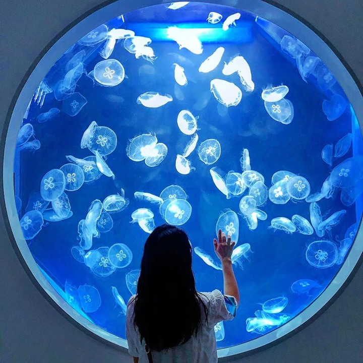 全台海生館比一比，你最喜歡哪個?