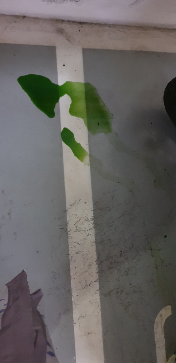 水箱水一直爆出,怎樣都修不好,請問有人有經驗嗎?