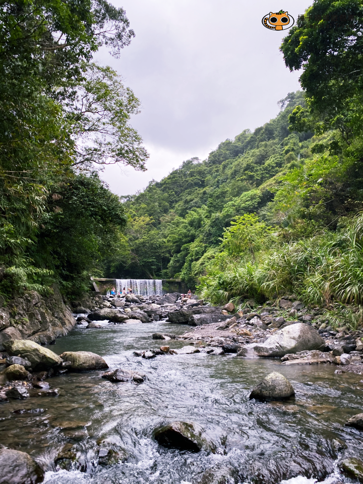 新北烏來入門溯溪|加九寮溪跳水、天然滑水道!