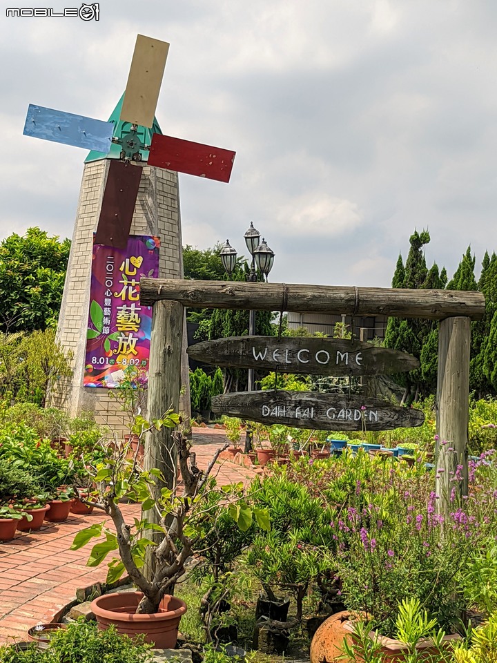 心花藝放 台南市歸仁七甲花卉園區 08/01