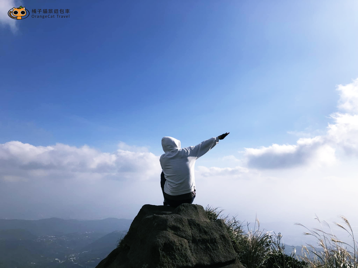 2020陽明山芒草季｜交通方式、賞花路線、熱門拍照點、賞花小技巧