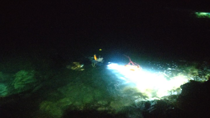 美麗東北角海岸夜間浮潛