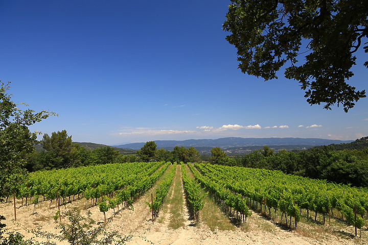 EOS R_南法薰衣草與蔚藍海視界@普羅旺斯 / 尼斯 / 坎城 / 摩納哥