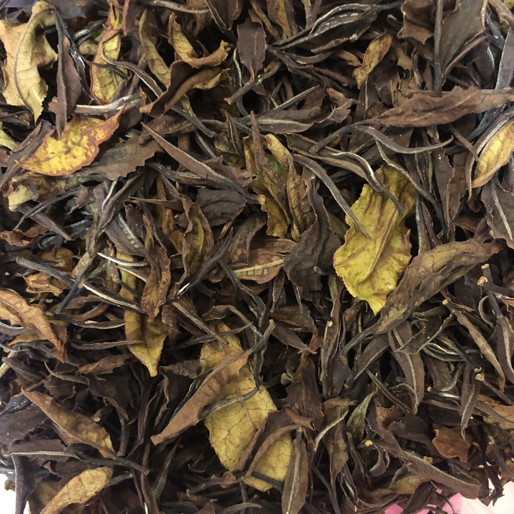 新生兒的茶－ 🎁白茶篇🎁