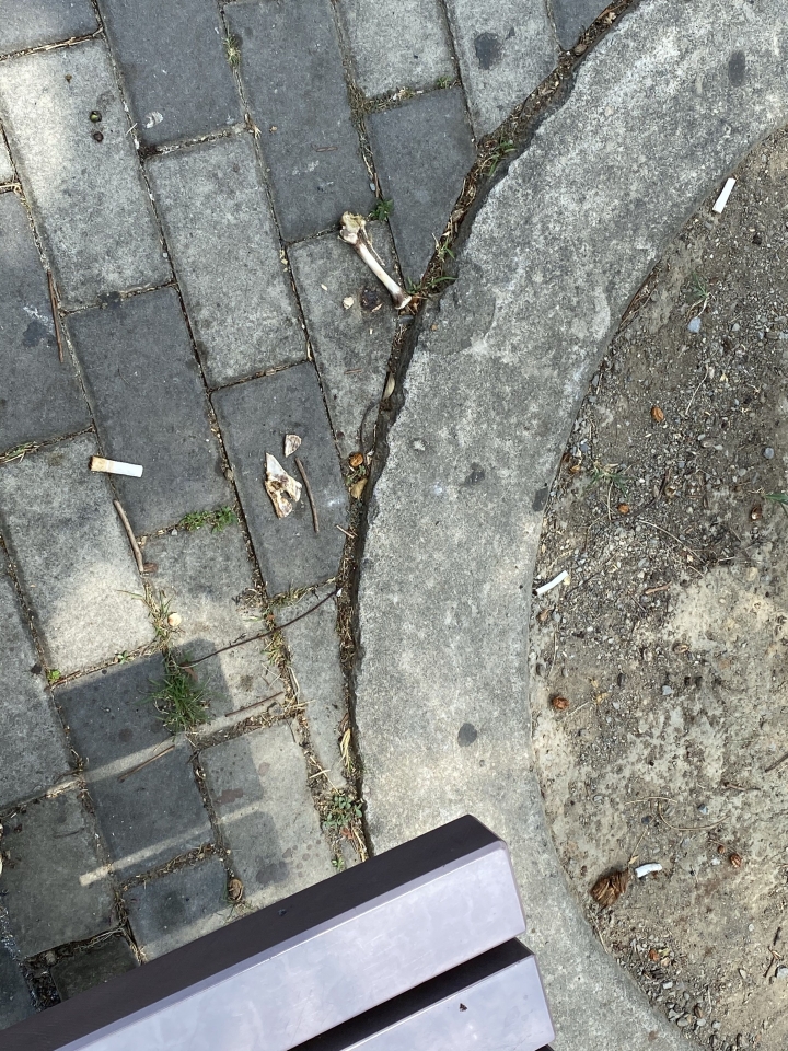 台灣最美的風景是人