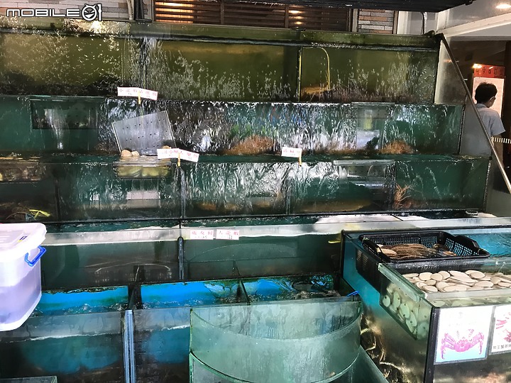 【小惡魔振興券】正港有青~新東南海鮮餐廳(汀洲店)