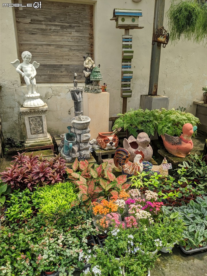 心花藝放 台南市歸仁七甲花卉園區 08/01