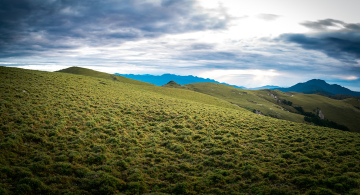 點我看大圖 登山道|嘉明湖只是路過・戒茂斯上嘉明湖