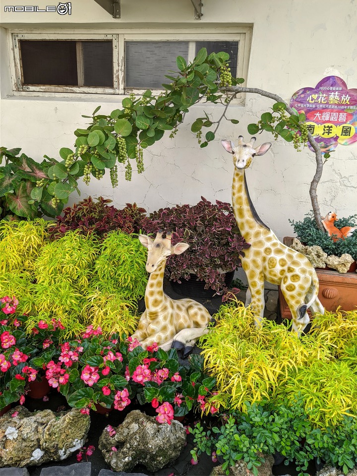 心花藝放 台南市歸仁七甲花卉園區 08/01