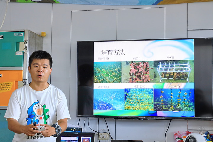 點我看大圖 (映像分享) 珊瑚寶寶們快快長大回歸大海吧!in新北市龍洞feat. Oris Carysfort Reef & 台灣山海天使環境保育協會