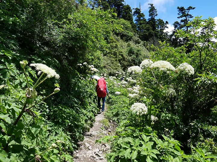二日能高越嶺(屯原進天長出)