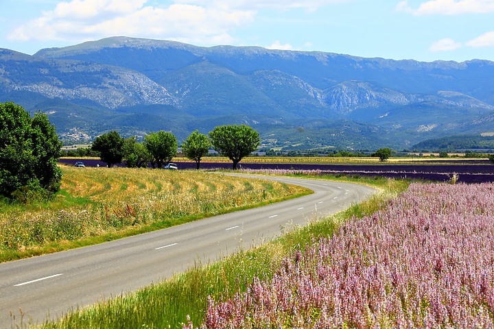 EOS R_南法薰衣草與蔚藍海視界@普羅旺斯 / 尼斯 / 坎城 / 摩納哥