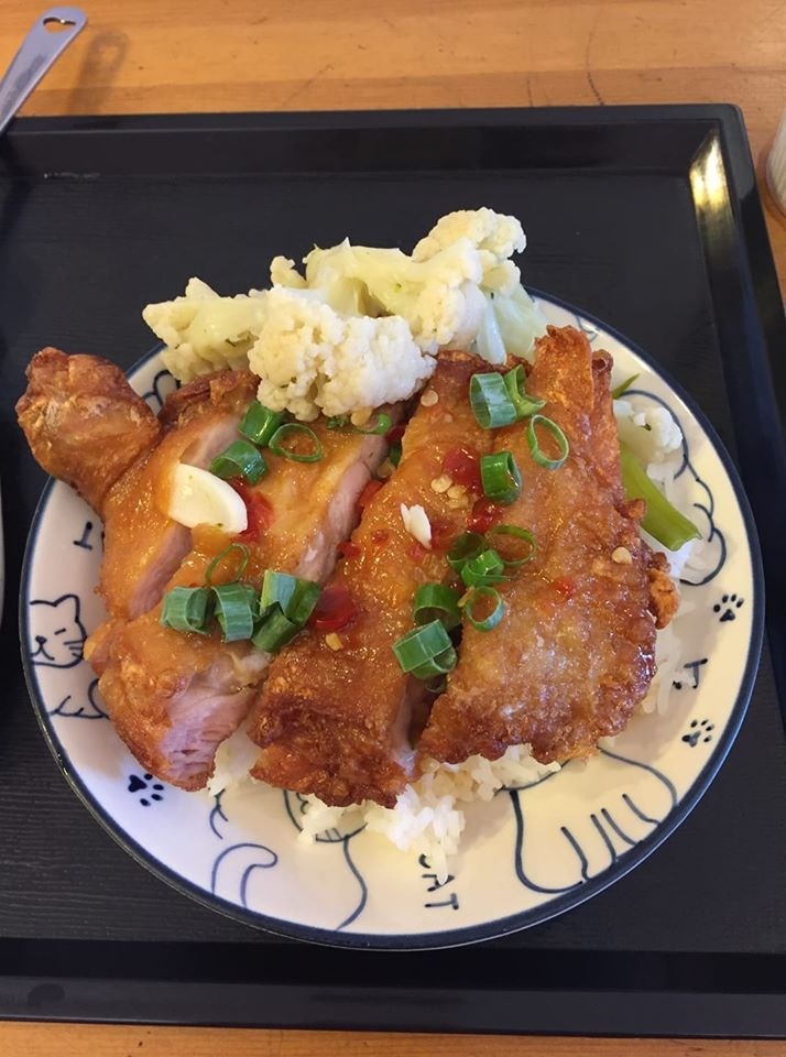 【台中|食記】5間貓咪餐廳大集合,貓奴們要失控啦