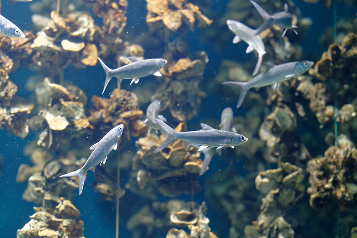 拍很爛 xpark水族館