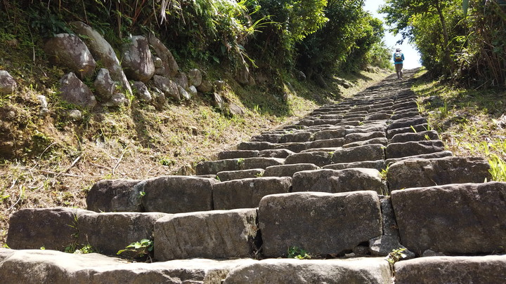 [樂山童盟] [新北瑞芳] 雞籠山登山步道