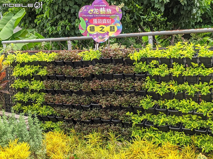 心花藝放 台南市歸仁七甲花卉園區 08/01