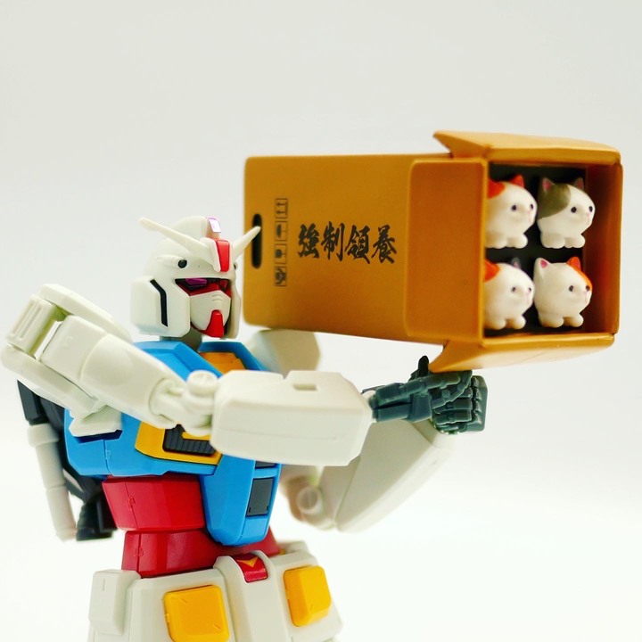 【真正的超越全球鋼彈】萬代 RX-78 G40 超越全球JOJO/瑜珈/娘機/武器/台場鋼彈 姿勢篇