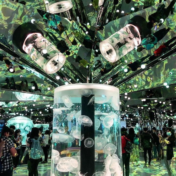 全台海生館比一比，你最喜歡哪個?