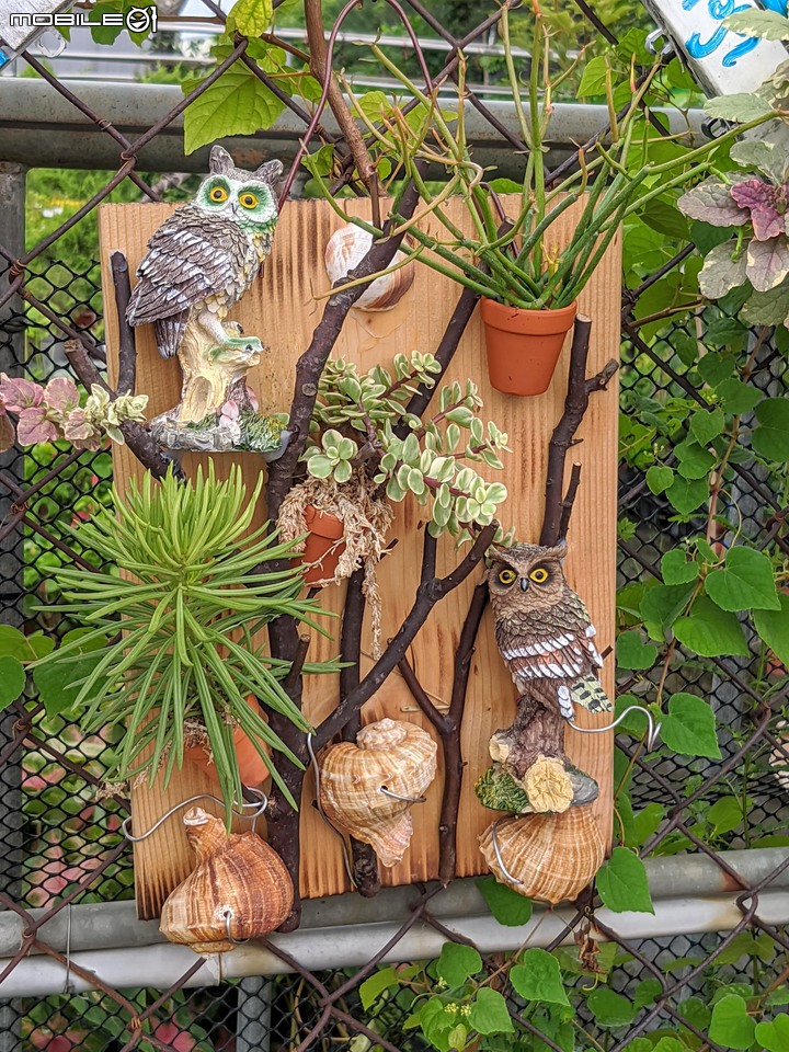 心花藝放 台南市歸仁七甲花卉園區 08/01