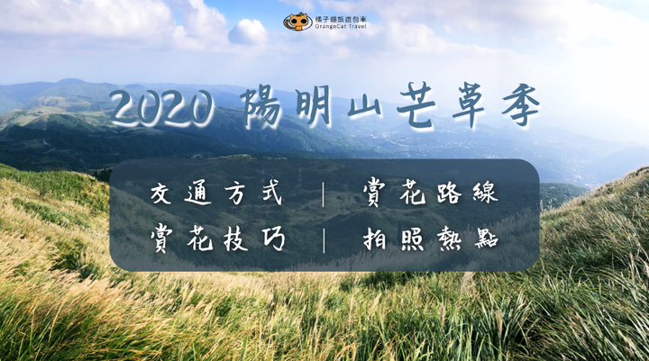 2020陽明山芒草季｜交通方式、賞花路線、熱門拍照點、賞花小技巧