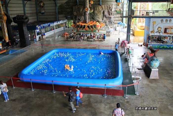 頑皮世界野生動物園。尋找隱身在草地裡的孔雀寶寶，還能近距離餵食水豚、迷你馬、羊駝......等小動物