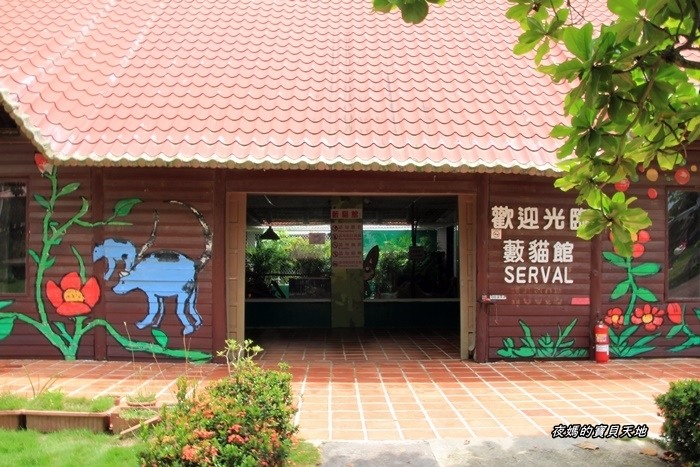 頑皮世界野生動物園。尋找隱身在草地裡的孔雀寶寶，還能近距離餵食水豚、迷你馬、羊駝......等小動物