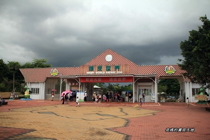 頑皮世界野生動物園。尋找隱身在草地裡的孔雀寶寶，還能近距離餵食水豚、迷你馬、羊駝......等小動物