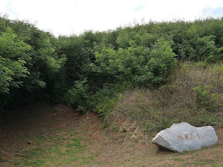 【小惡魔振興券】日軍震洋艦基地、天台山、望安航空站、綠蠵龜觀光保育中心 — 老狗的夏天「偽出國」行旅 — Day 6-1 澎湖望安島遊程之三