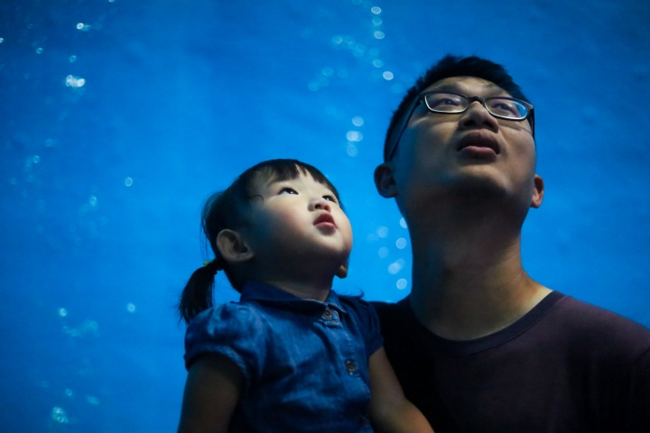 Canon eos RP+ EF50/1.8 新手攝影之媽媽視角