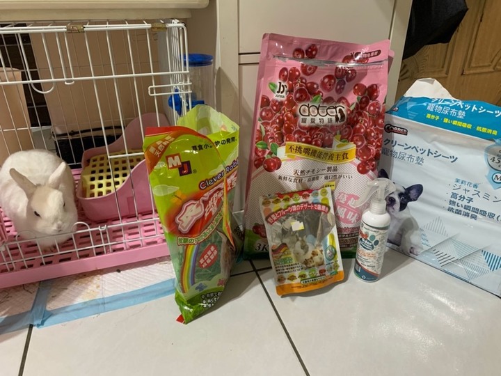 養兔寶寶的心得交流