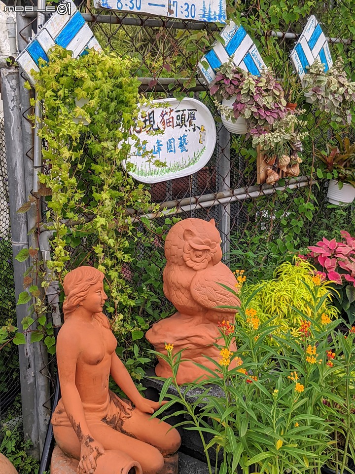 心花藝放 台南市歸仁七甲花卉園區 08/01