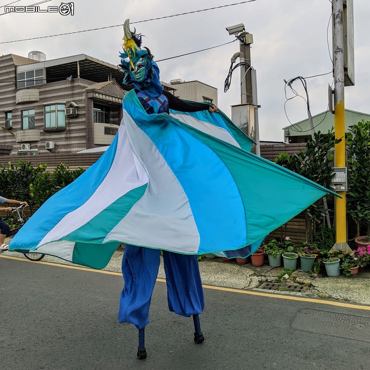 心花藝放 台南市歸仁七甲花卉園區 08/01