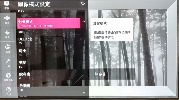 LG CX 畫面設定選項介紹以及最佳設定、專業校正