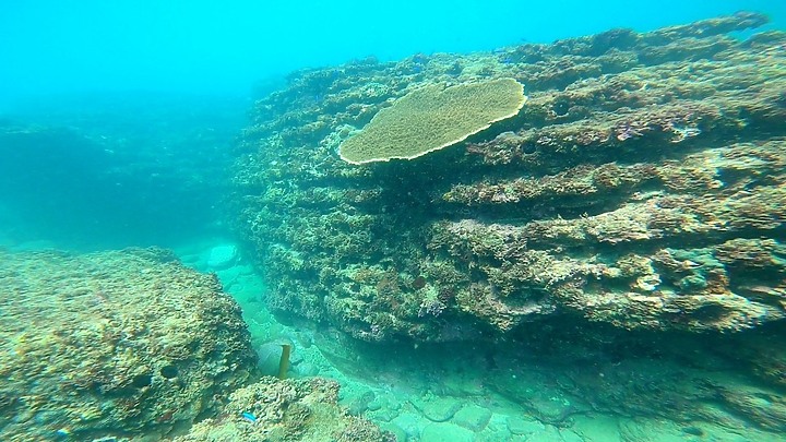 東北角風景區香蘭浮潛野炊