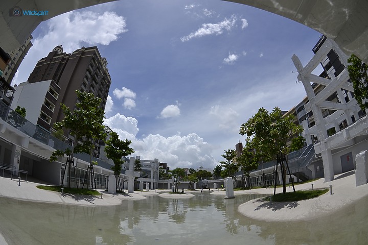 點我看大圖 經典或許雋永的魚眼【TOKINA Fisheye 10-17mm f/3.5-4.5 DX】