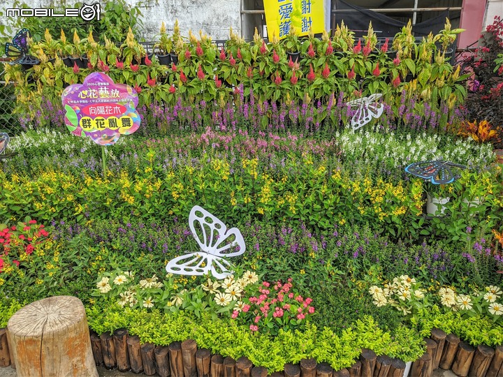 心花藝放 台南市歸仁七甲花卉園區 08/01