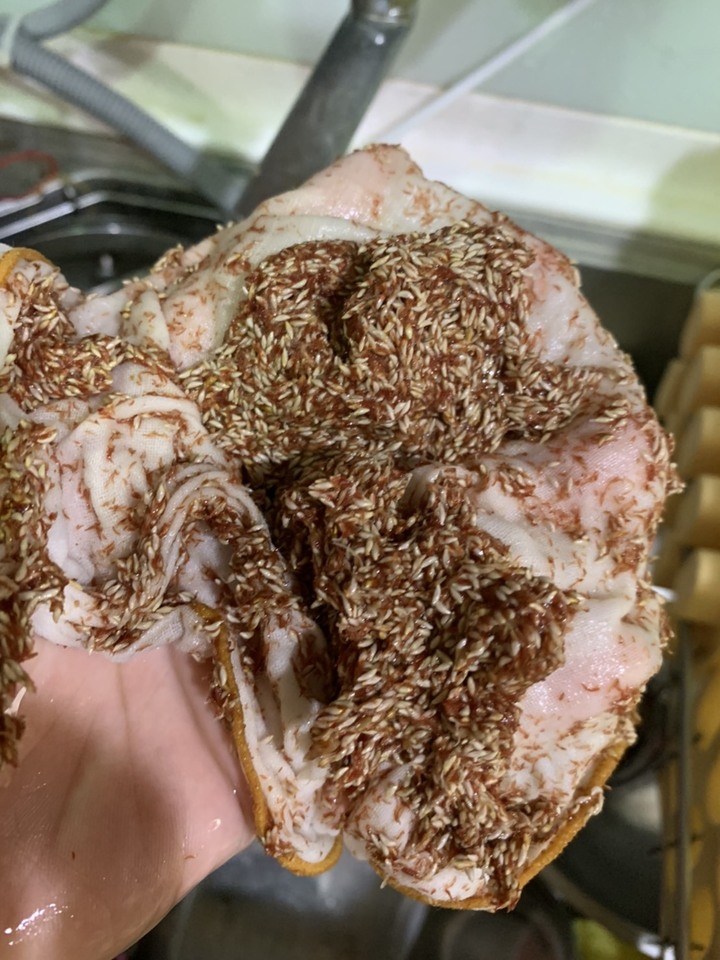 炎炎夏日萬用香檬汁入菜分享
