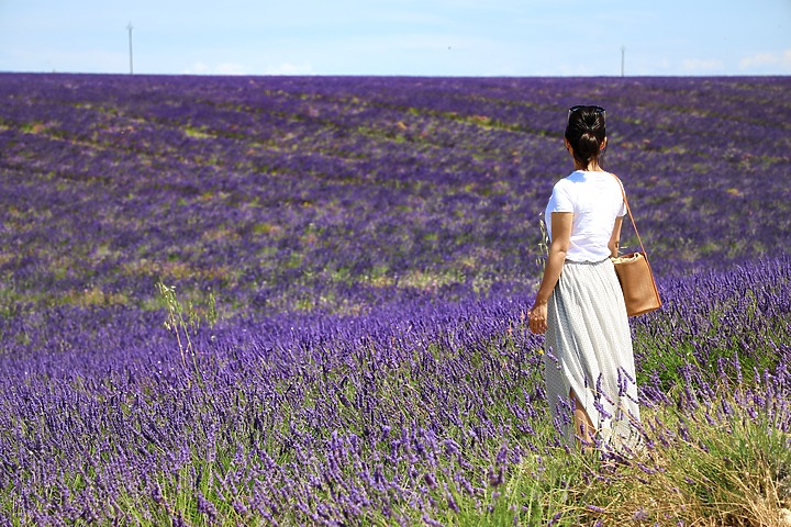 EOS R_南法薰衣草與蔚藍海視界@普羅旺斯 / 尼斯 / 坎城 / 摩納哥