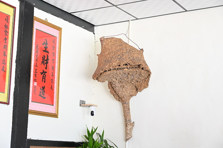Nikon 24-200mm f/4-6.3台東之旅，立麗大酒店、白玉瀑布、嘎努食堂及龍鳳飯店。