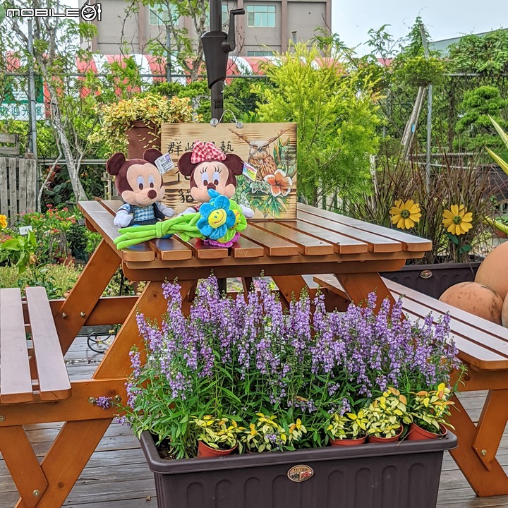 心花藝放 台南市歸仁七甲花卉園區 08/01