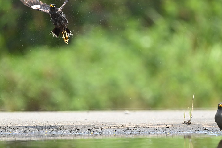 Nikon Z 24-200mm f/4-6.3加在Z6的開箱：車城龜山大橋及獅子鄉內獅國小前海邊銀河照。