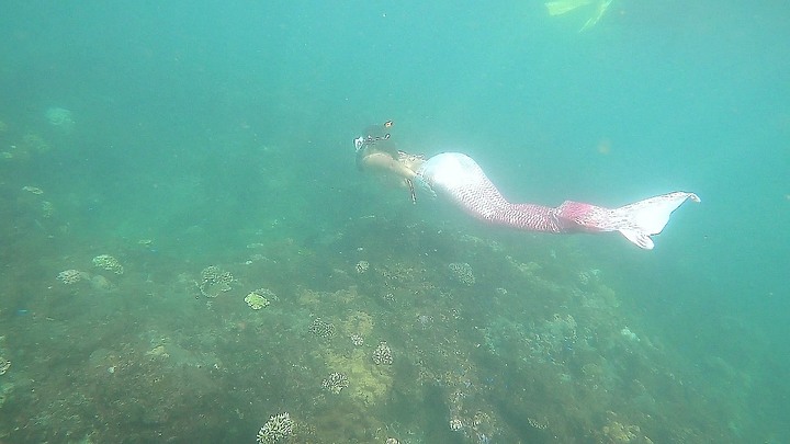 與美人魚相遇美麗北海岸