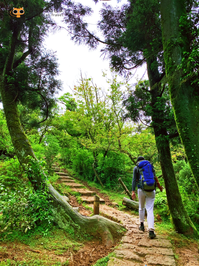 陽明山東西大縱走(半程),再累也值得的登山路線!